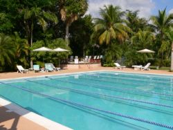 Lap pool Couples Negril Jamaica