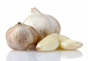 National Garlic Day