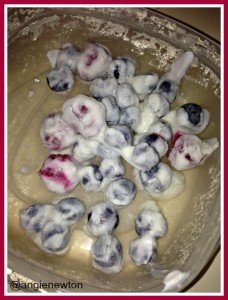Frozen Greek Yogurt Covered Fruit