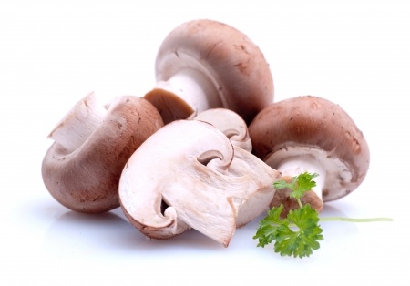 Mushroom Recipes National Mushroom Day