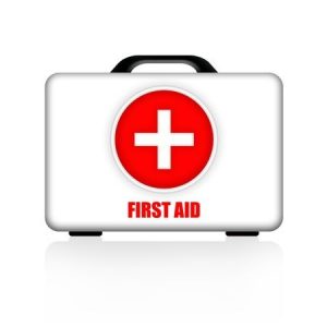 Emergency Medical Travel Kit