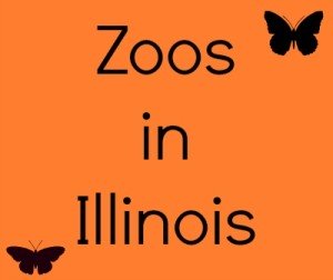 Zoos In Illinois