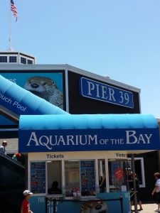 Pier 39 San Francisco