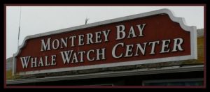 Monterey Bay Whale Watch Center