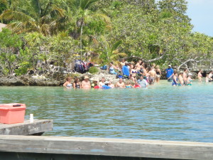 Anthony's Key Resort dolphin encounter