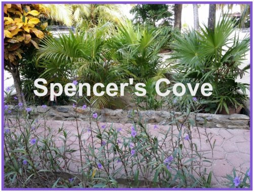 Spencer's Cove Rental