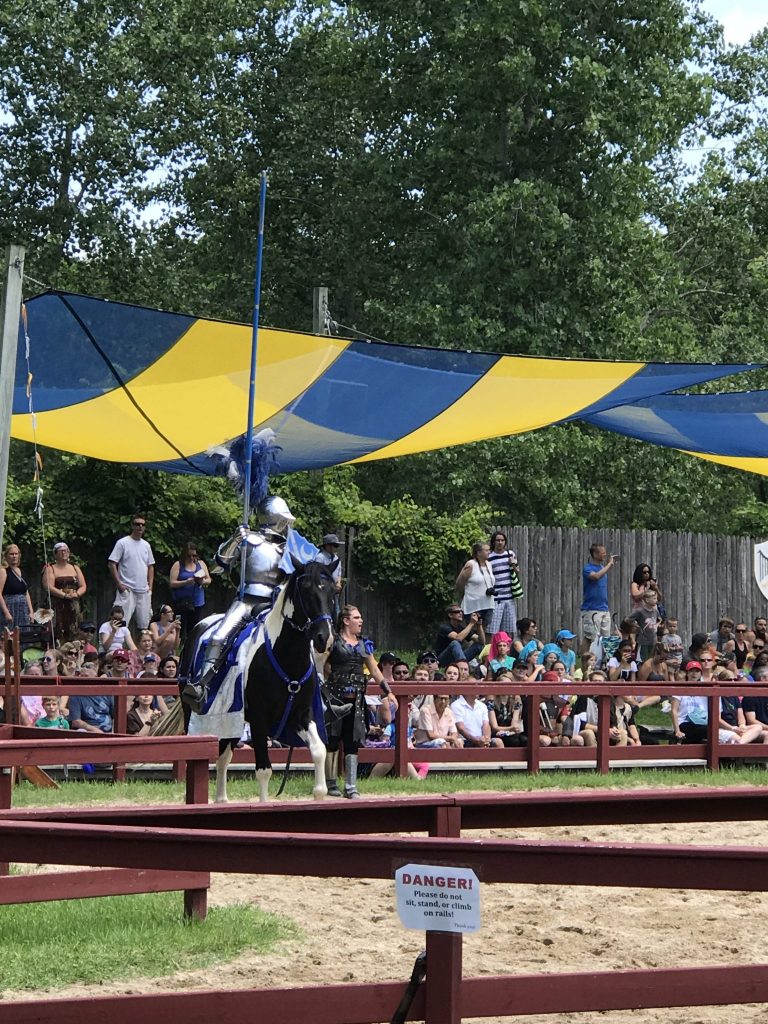 Jousters Battle Arena
