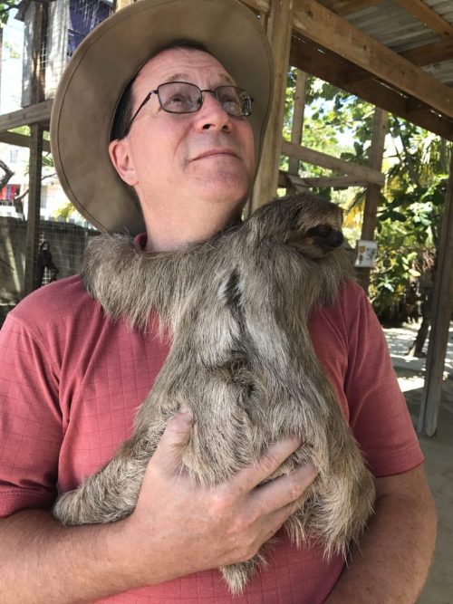 Kev and the Baby Sloth