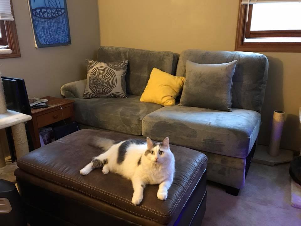 Wilbur's New Furniture