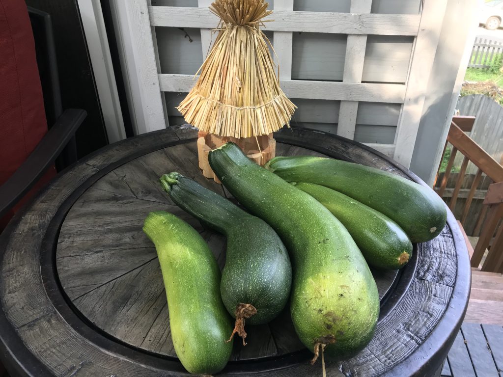 Garden Zucchini