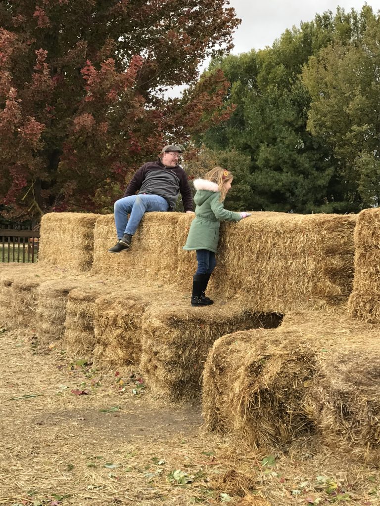 Jonamac Orchard Play Area