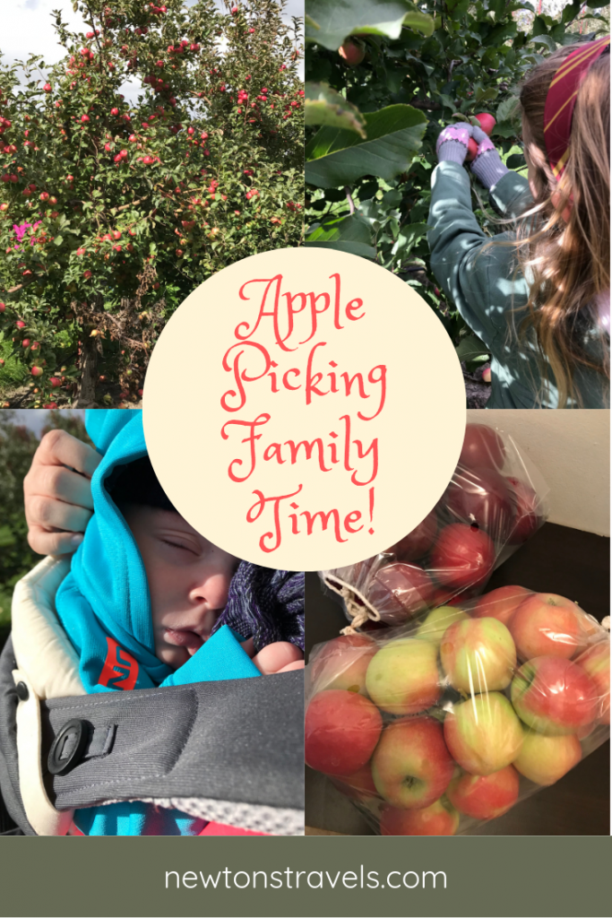 Apple Picking