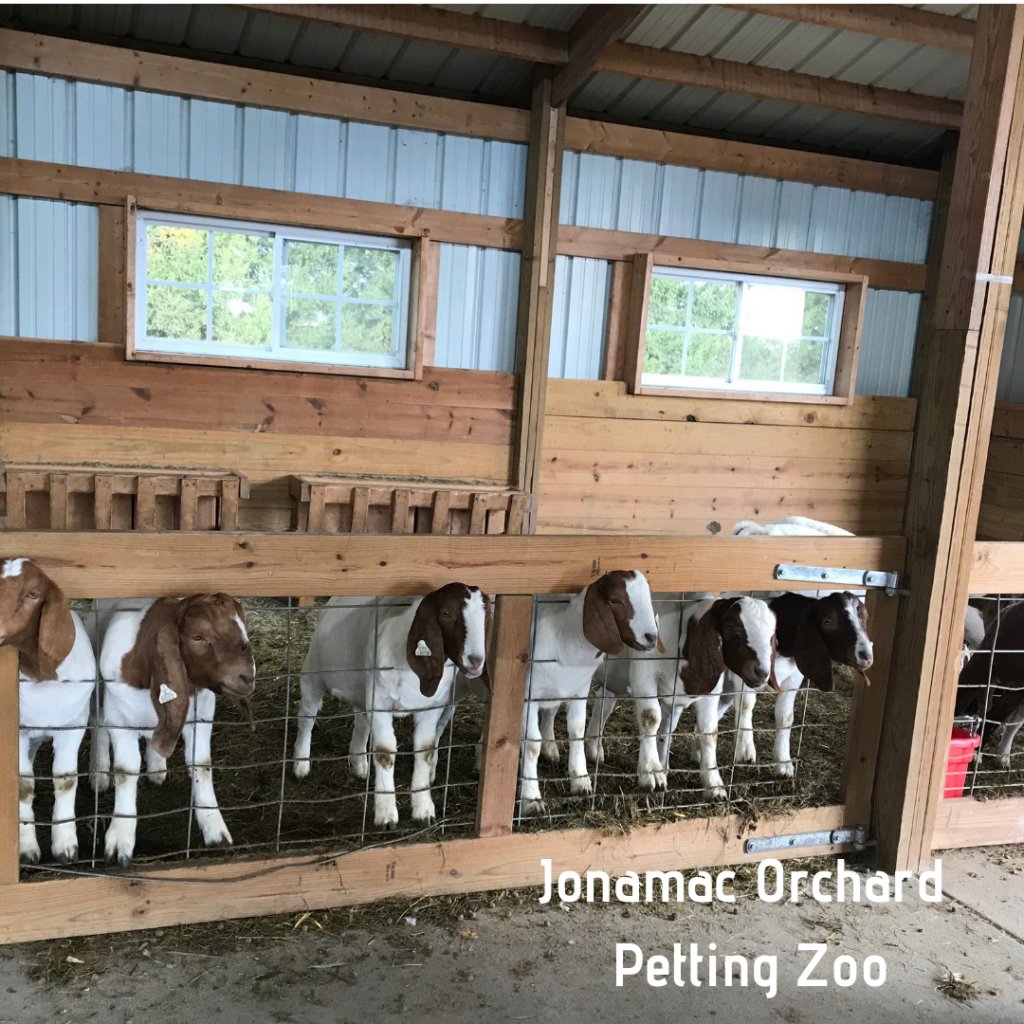 Jonamac Petting Zoo