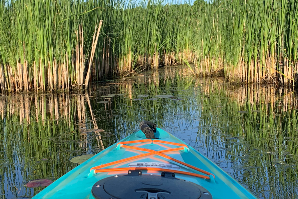 Kayaking on lake