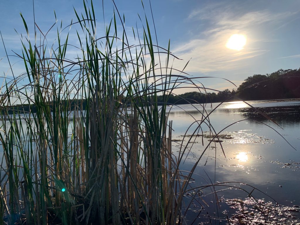 Chain O Lakes lake