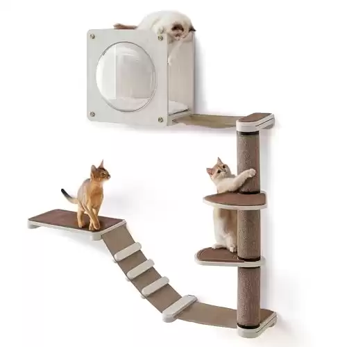 Feandrea Clickat Oasis - Cat Wall Furniture