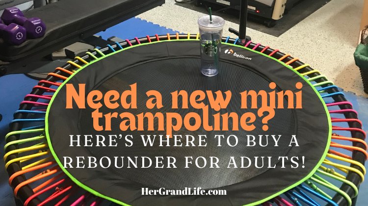 Where to buy a rebounder for adults